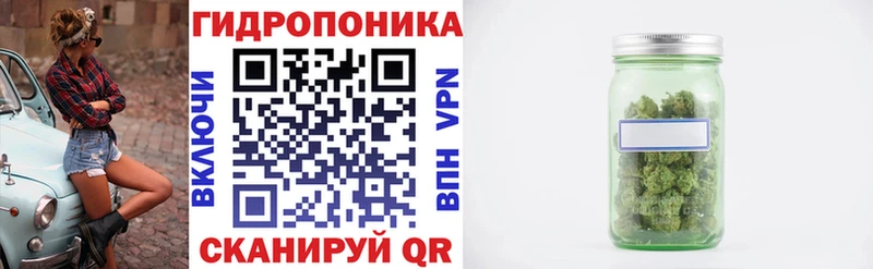магазин продажи наркотиков  Искитим  Канабис гибрид 